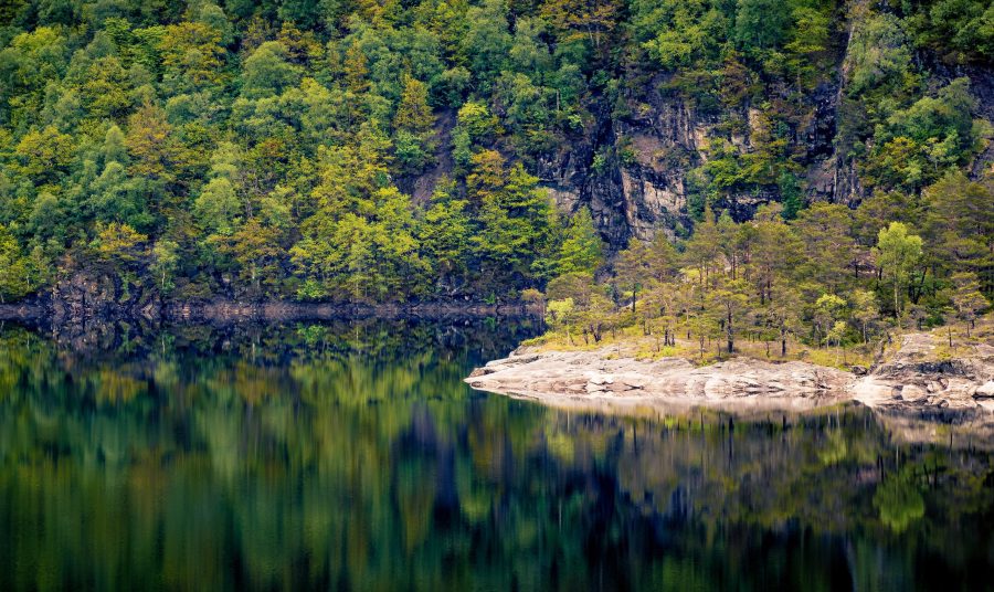 Збереження природи на часі, або Висновки від студента УГІ в Норвегії