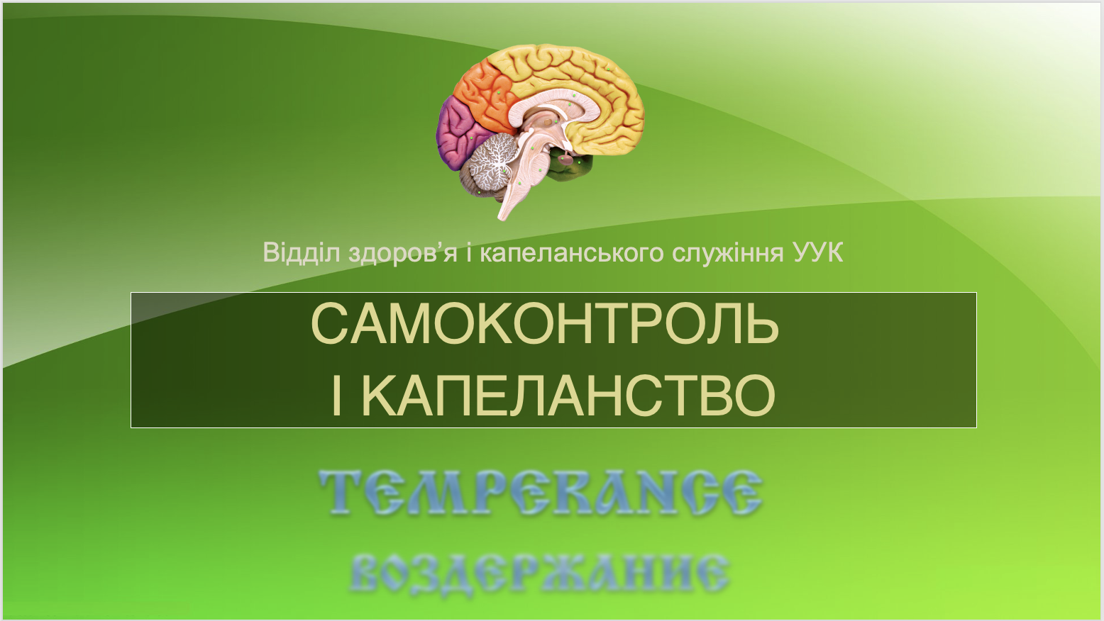 Сергій Луцький розповів про лікарняне капеланство і самоконтроль