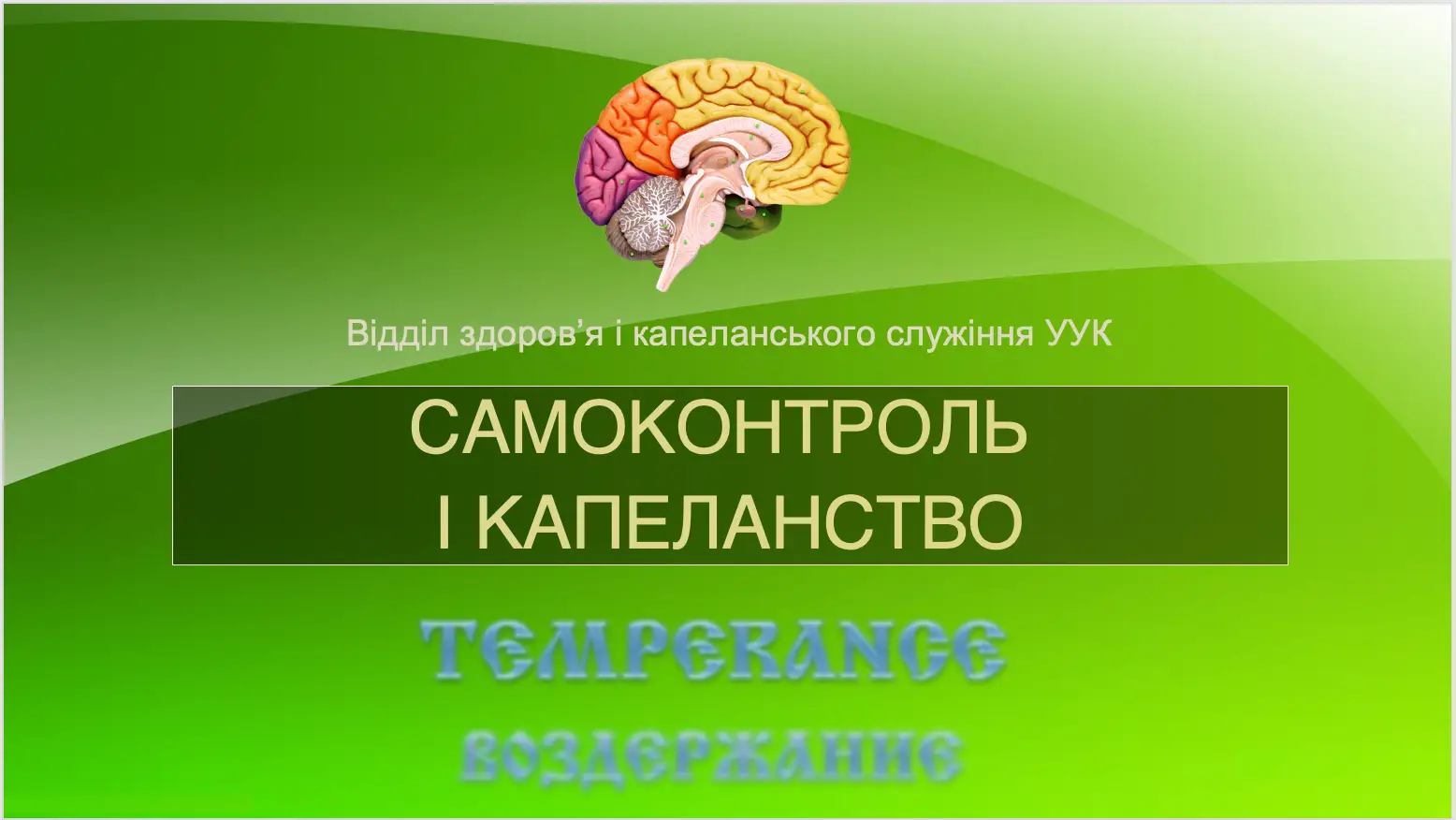 Сергій Луцький розповів про лікарняне капеланство і самоконтроль
