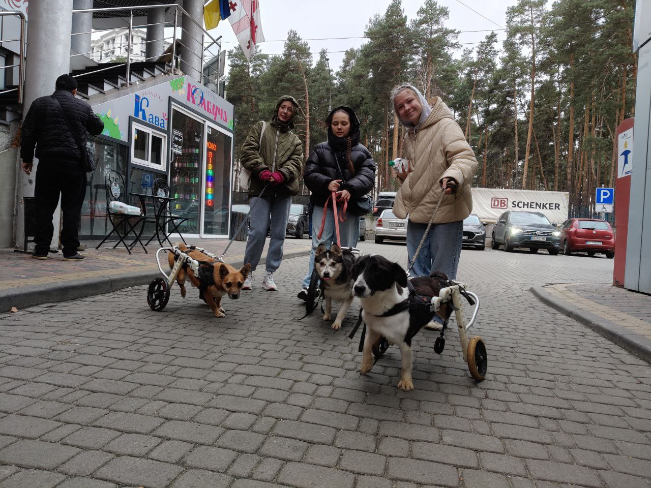 Студенти відвідали притулок для собак з інвалідністю